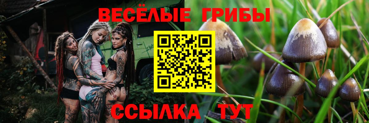 Вятские Поляны  Галлюциногенные грибы мухоморы  Галлюциногенные грибы Magic Shrooms  Вход с VPN 