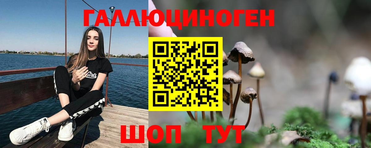 Галлюциногенные грибы Psilocybe Вятские Поляны